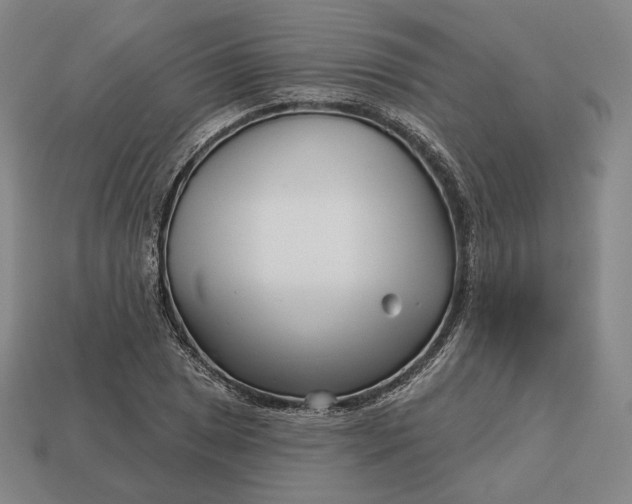 X0000113161025200909181807