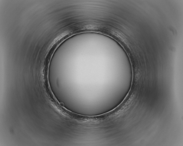 X0000113161026200909181807