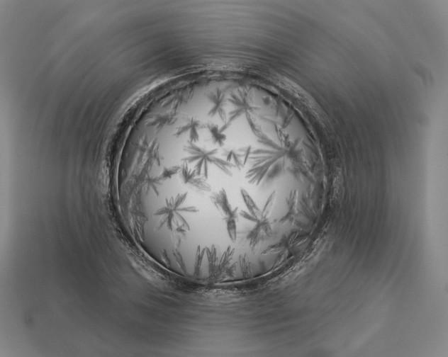 X0000113161027200909181807