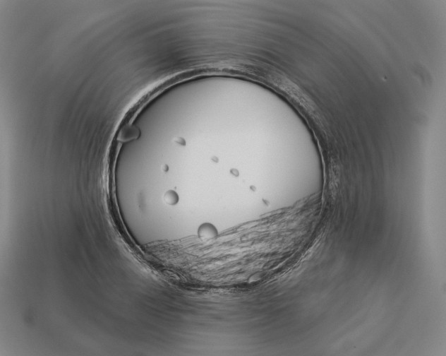 X0000113161028200909181807