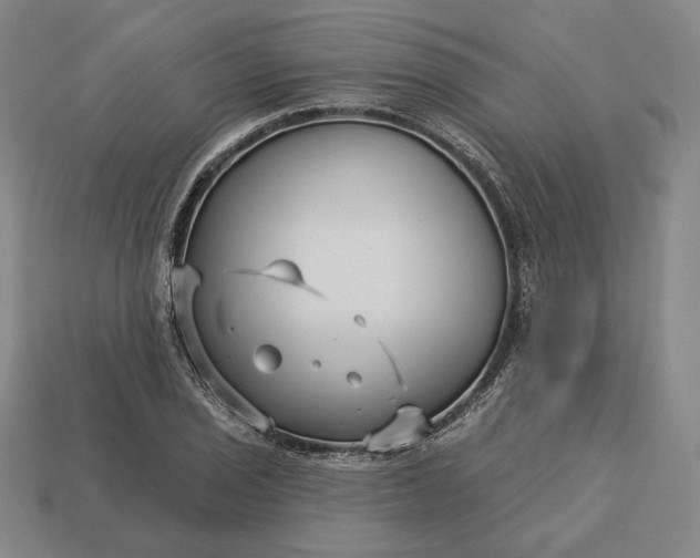 X0000113161029200909181807