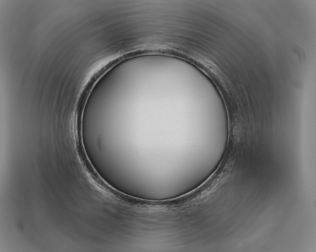 X0000113161030200909181807