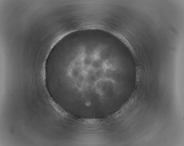 X0000113161031200909181807