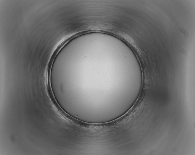 X0000113161032200909181807