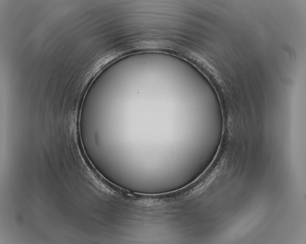 X0000113161033200909181807