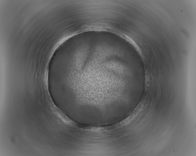 X0000113161035200909181807