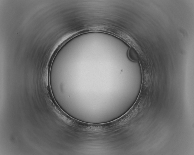 X0000113161036200909181807