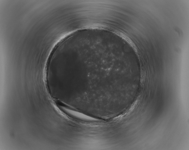 X0000113161037200909181807