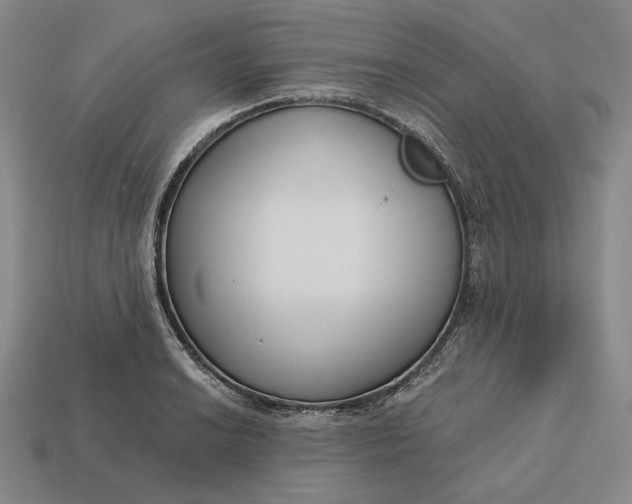 X0000113161038200909181807