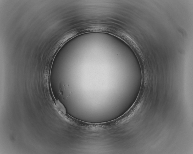 X0000113161041200909181807