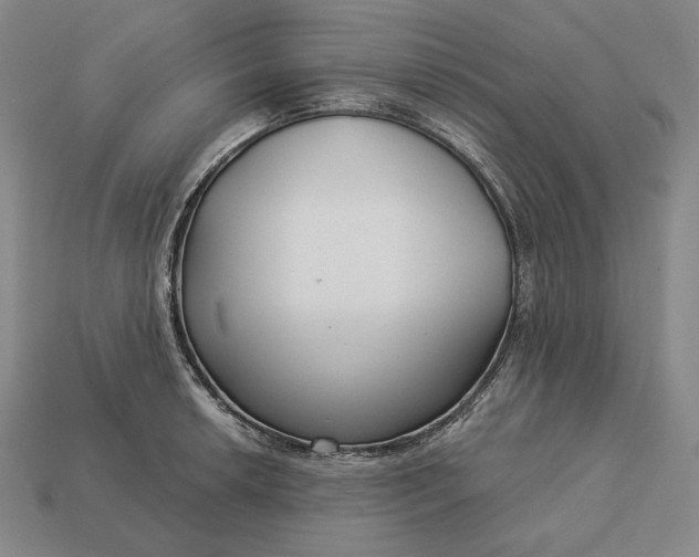 X0000113161042200909181807