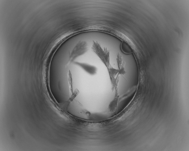 X0000113161043200909181807