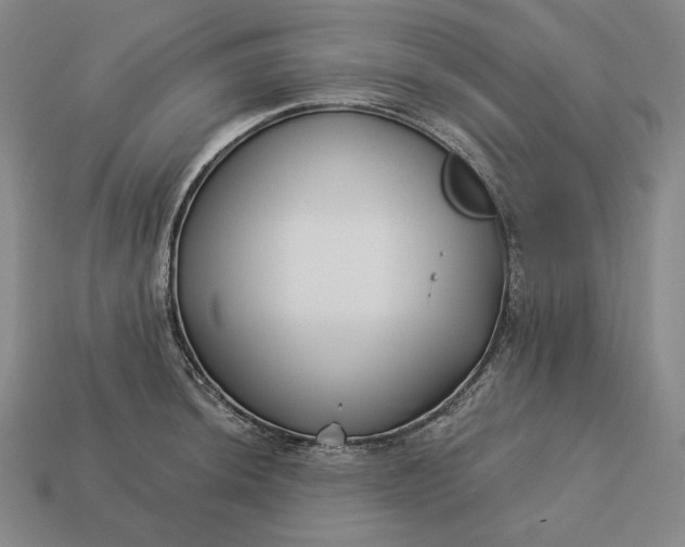 X0000113161044200909181807