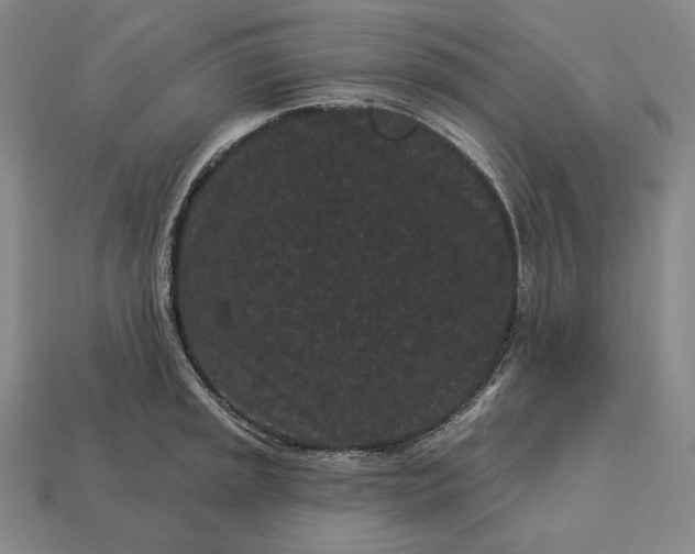 X0000113161045200909181807