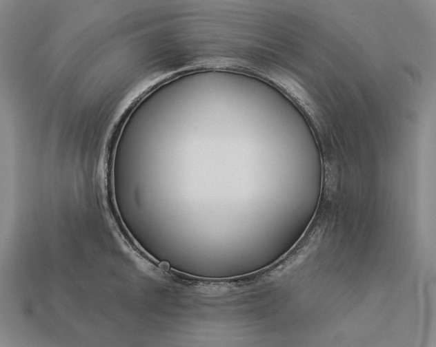 X0000113161046200909181807