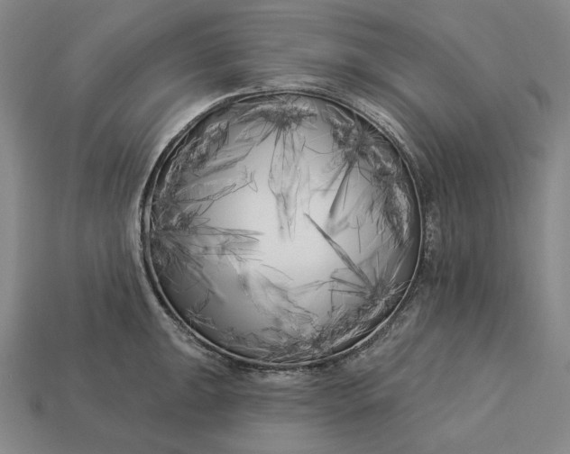 X0000113161047200909181807