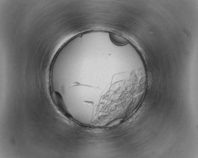 X0000113161048200909181807