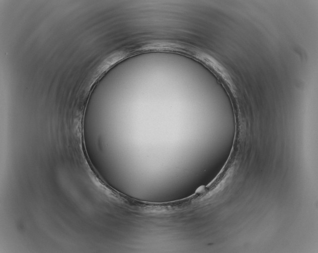 X0000113161049200909181807