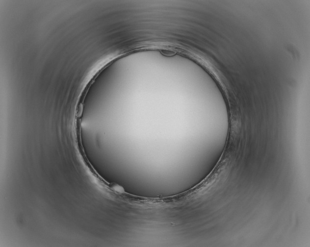 X0000113161050200909181807