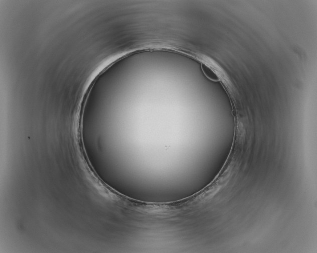 X0000113161052200909181807