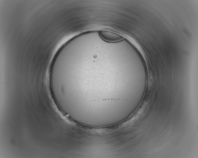 X0000113161053200909181807