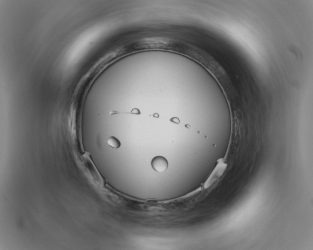 X0000113161054200909181807