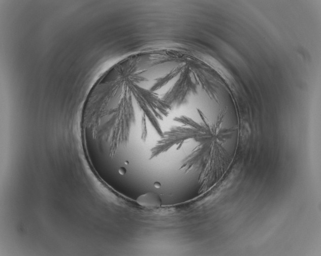 X0000113161055200909181807