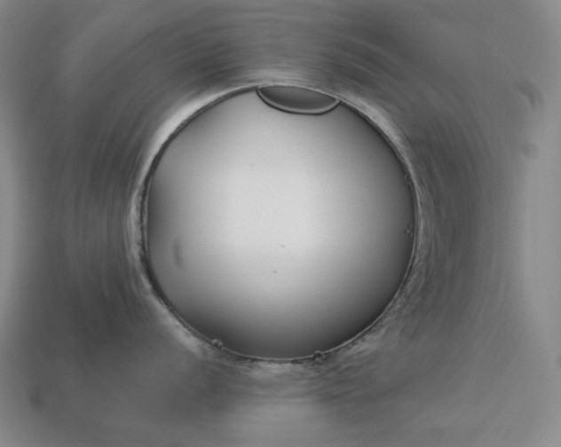 X0000113161056200909181807