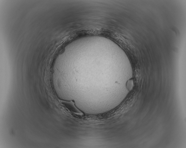 X0000113161057200909181807