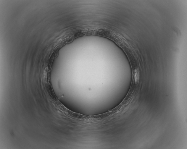 X0000113161059200909181807