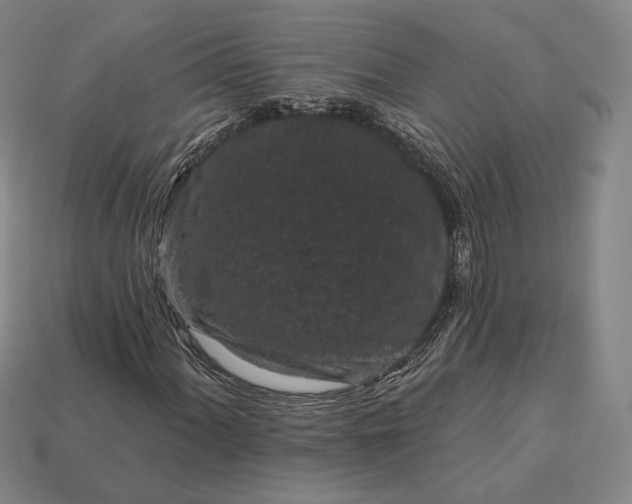 X0000113161060200909181807