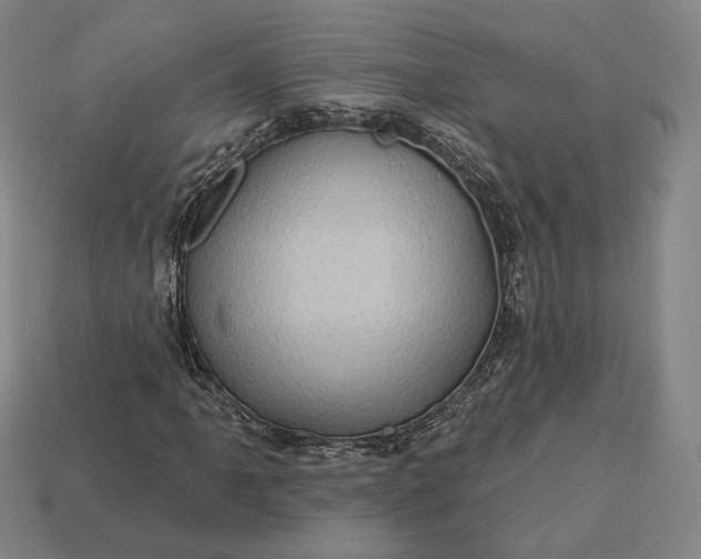 X0000113161061200909181807