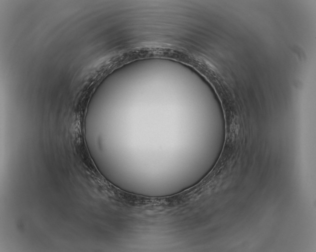 X0000113161062200909181807