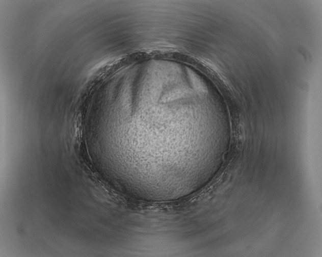 X0000113161063200909181807