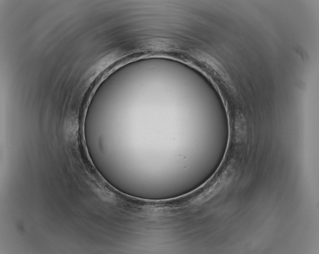 X0000113161065200909181807