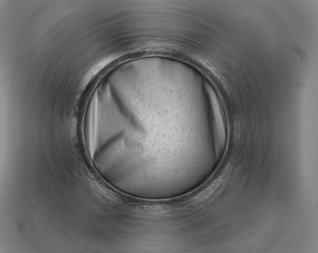 X0000113161066200909181806