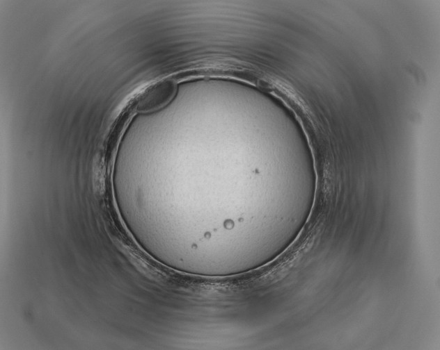 X0000113161067200909181806