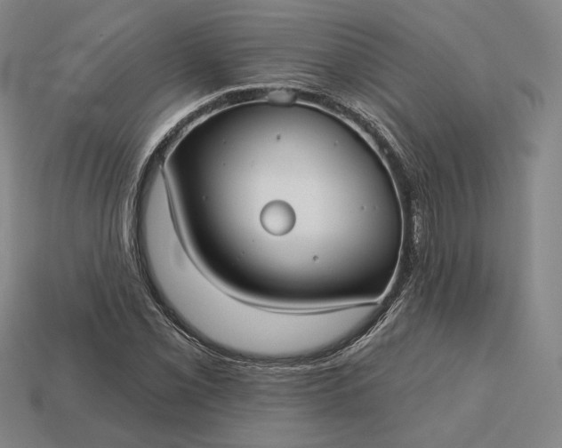 X0000113161069200909181806