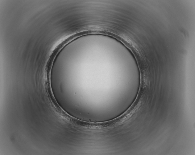 X0000113161070200909181806