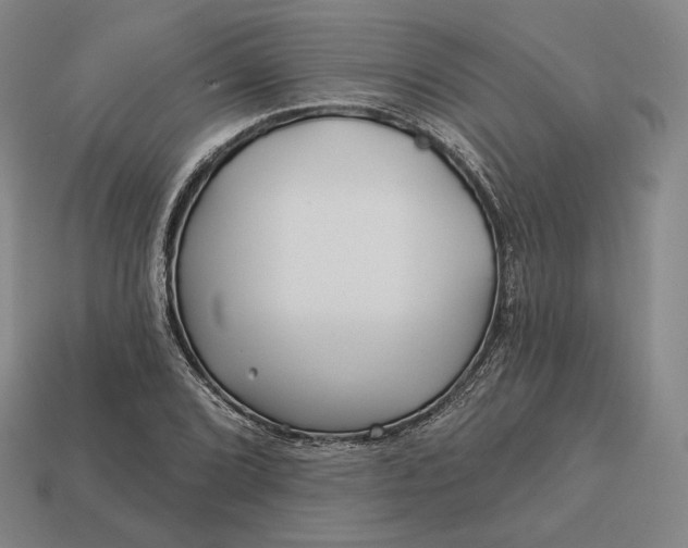 X0000113161072200909181806