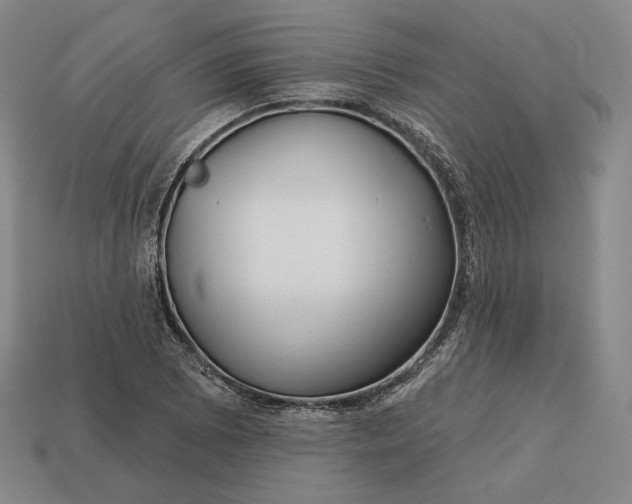 X0000113161073200909181806