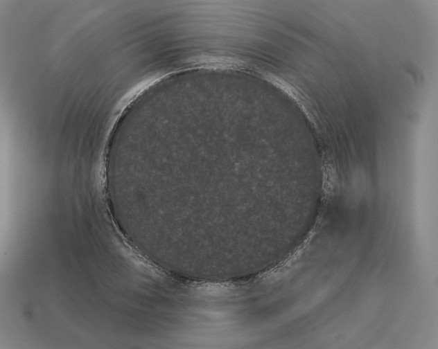 X0000113161074200909181806