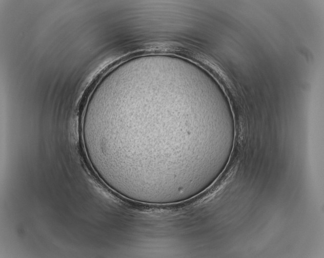 X0000113161075200909181806