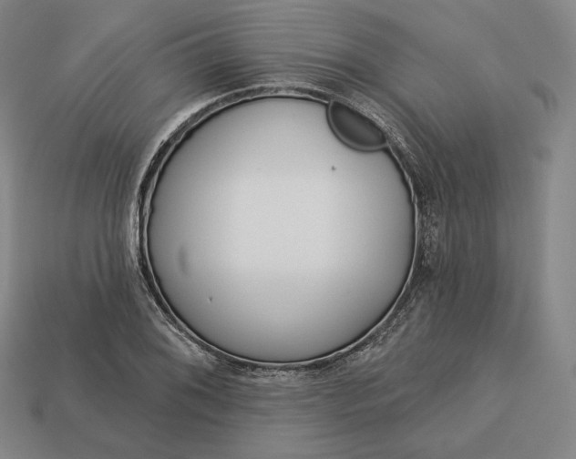 X0000113161076200909181806