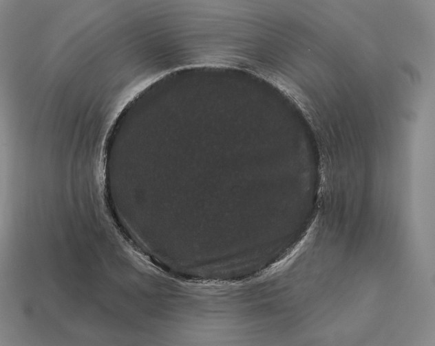 X0000113161077200909181806