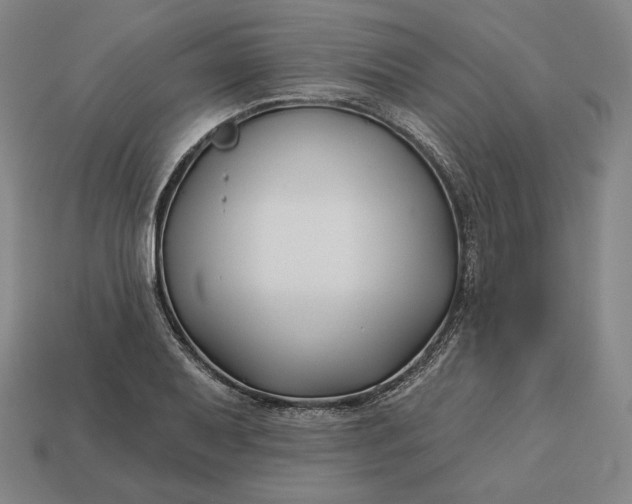 X0000113161079200909181806