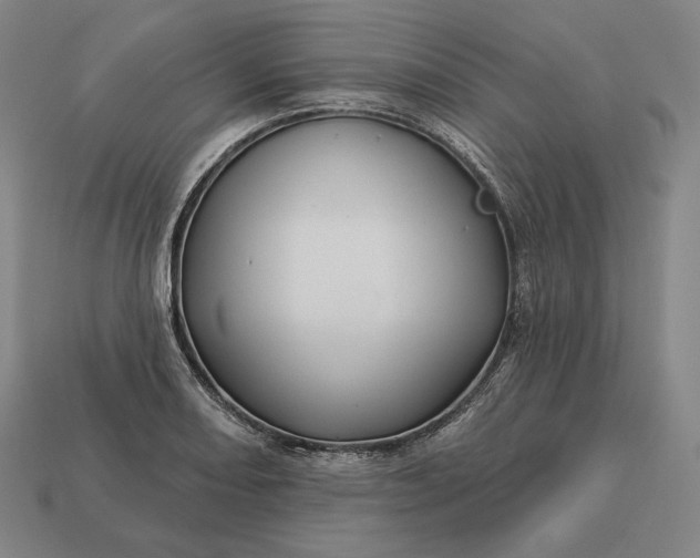 X0000113161082200909181806