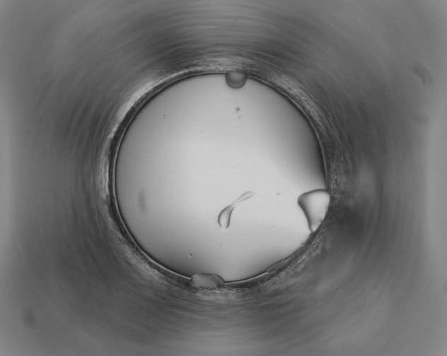 X0000113161083200909181806