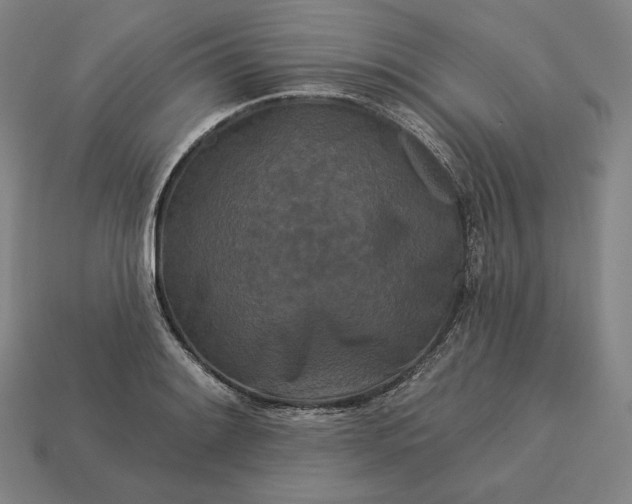 X0000113161084200909181806