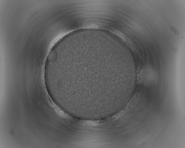 X0000113161086200909181806